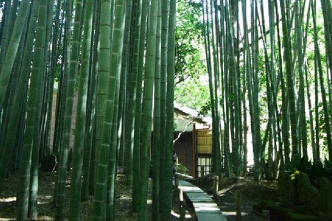 Kamakura Bamboo Forest and Great Buddha Private Tour - Stop 3: Hokoku-ji Bamboo Garden with matcha and a cool, mysterious vibe