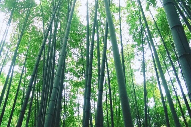 Kamakura Bamboo Forest and Great Buddha Private Tour - Stop 4: Tsurugaoka Hachimangu Shrine for the city-center shrine experience