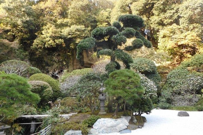 Kamakura Full-Day Private Tour - Kotoku-in (Great Buddha): An Outdoor Bronze Icon Up Close