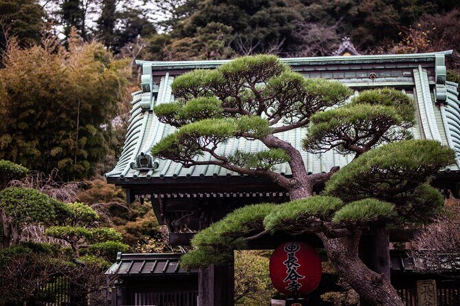 Kamakura Full-Day Private Tour from Tokyo (Customizable) - Key things you’ll notice on this Kamakura private day