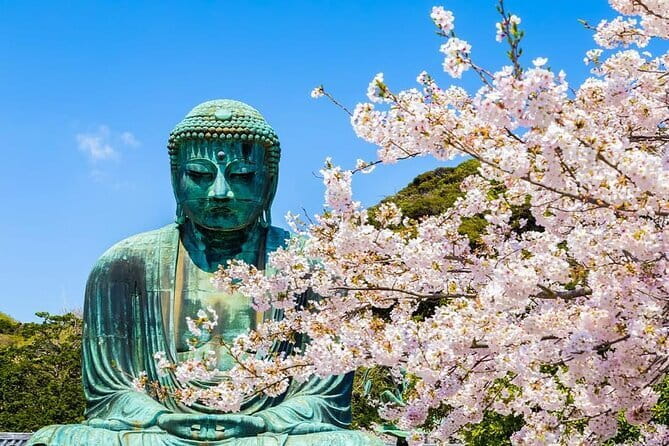 Kamakura Great Buddha and Enoshima with hotel Pickup small group - Key things I’d prioritize about this tour