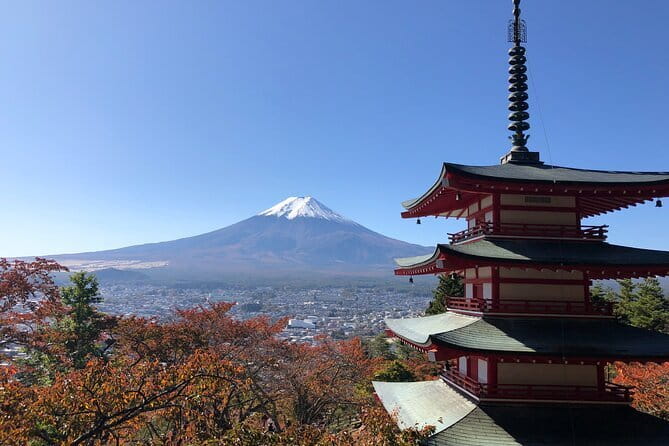 Kamakura Great Buddha and Enoshima with hotel Pickup small group - Tsurugaoka Hachimangu Shrine: Big Sights, Easy Flow