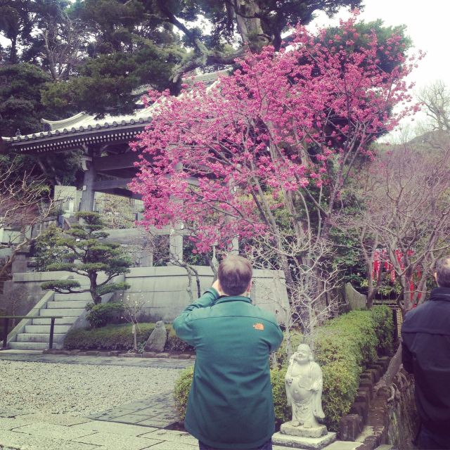 Kamakura: Great Buddha, Hase Temple, & Komachi Street Tour - Hokokuji bamboo forest: quick bus ride, big mood shift