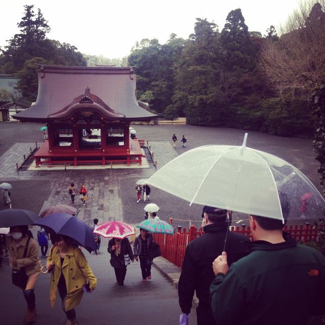 Kamakura: Great Buddha, Hase Temple, & Komachi Street Tour - Price and value: what $530 covers (and what you still pay)