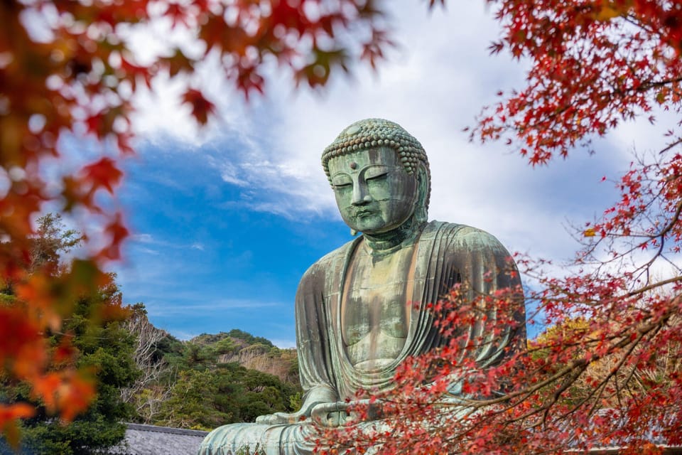 Kamakura Half Day Tour with a Local Expert Guide - Key Highlights You’ll Feel During This Half-Day