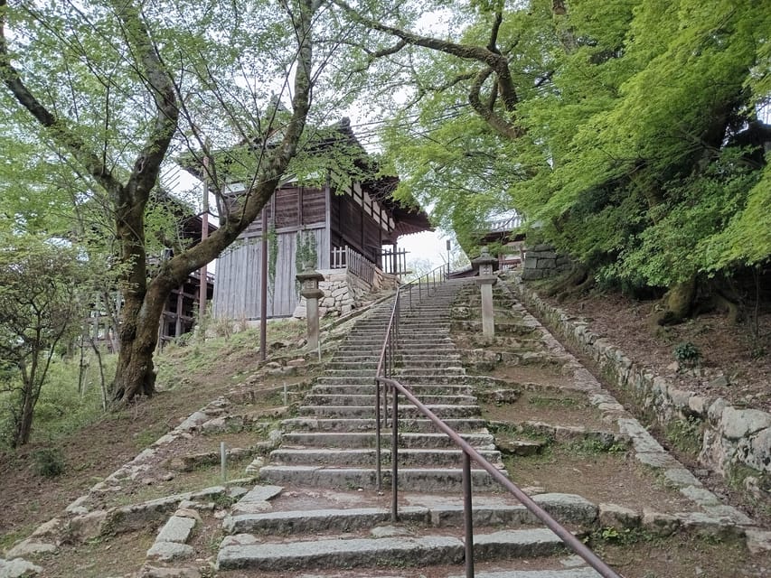 Kamakura Half Day Tour with a Local Expert Guide - Guide Quality: Humor, Flexibility, and Different Styles
