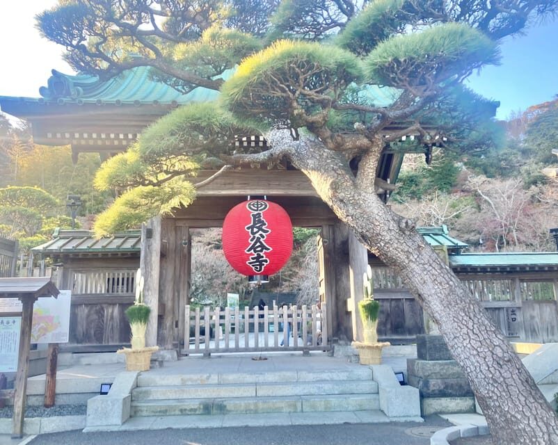 Kamakura: Half day Walking tour & Japanese sweets - How to Make the Most of It: Small Tips That Actually Help