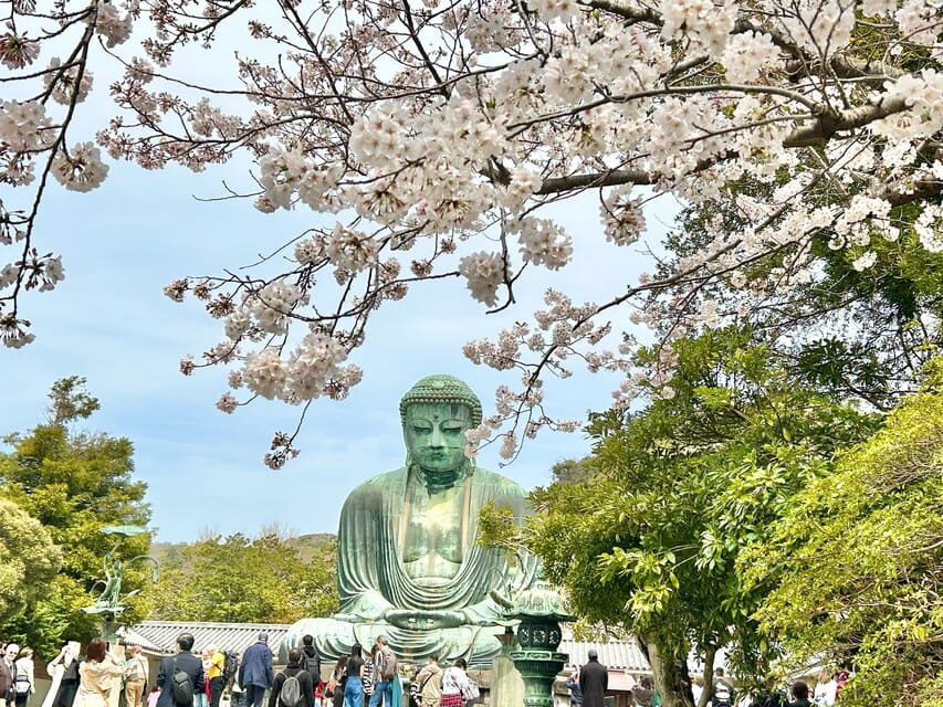 Kamakura: Half day Walking tour & Japanese sweets - Tsurugaoka Hachiman-gũ: Where Kamakura’s Samurai Story Starts