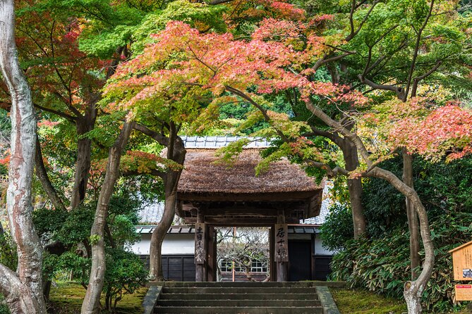 Kamakura Historical and Cultural Day Trip with Local Cuisine - How the day stays comfortable: snacks, water, and a smart pace