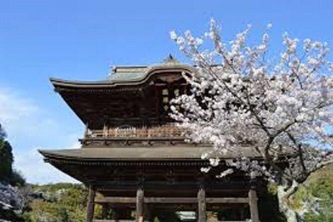 Kamakura Private Custom Tour - Kamakura by Train and Bus: Why This Tour Works