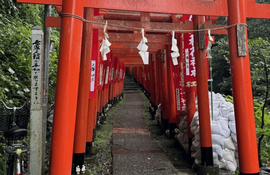 Kamakura Private Custom Tour with Local Guide - Komachi Street: snacks, souvenirs, and not wasting time