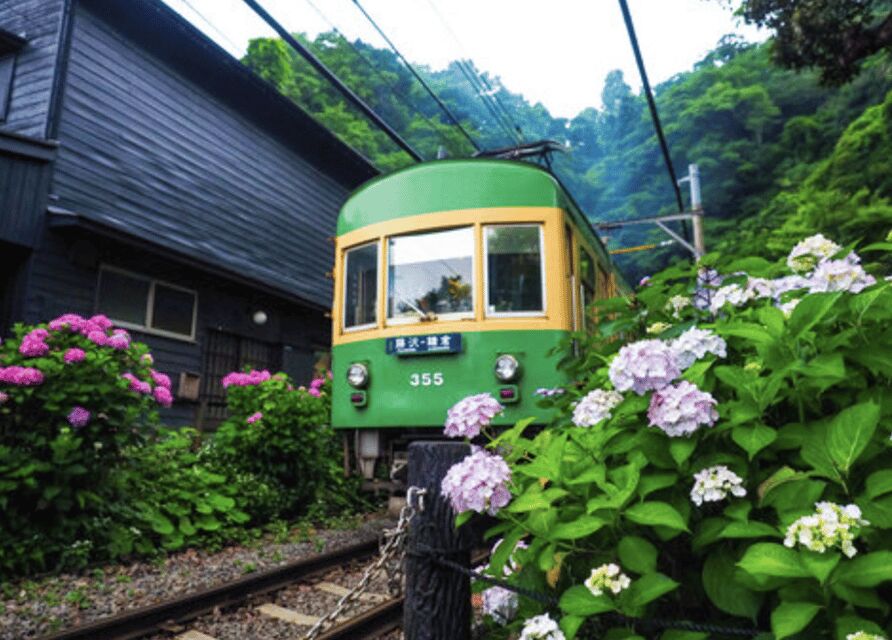 Kamakura Private Custom Tour with Local Guide - Walking, public transit, and how to plan your movement day