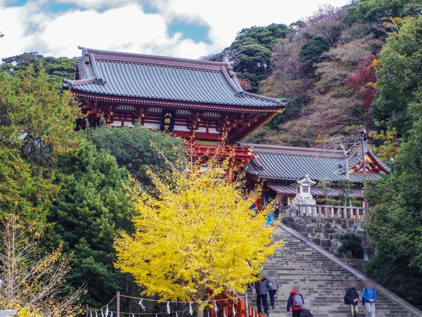 Kamakura Private & Customized Half-Day Tour with Local Guide - How a private half-day gives you the Kamakura you actually want