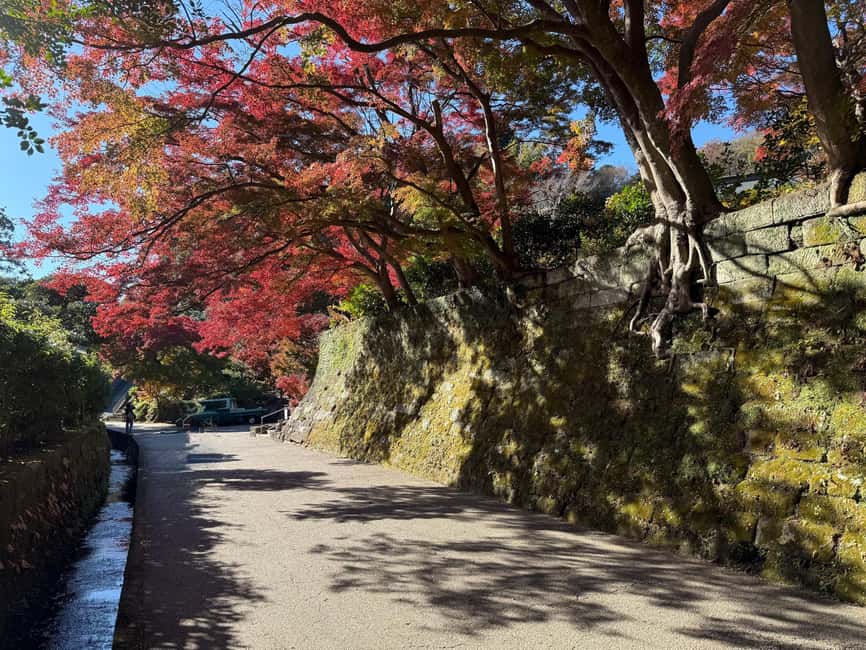 Kamakura Private & Customized Half-Day Tour with Local Guide - Timing, season, and when Kamakura feels its best