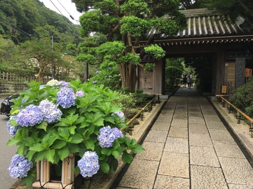 Kamakura: Private History and Heritage Tour by Rickshaw - Key highlights worth your attention