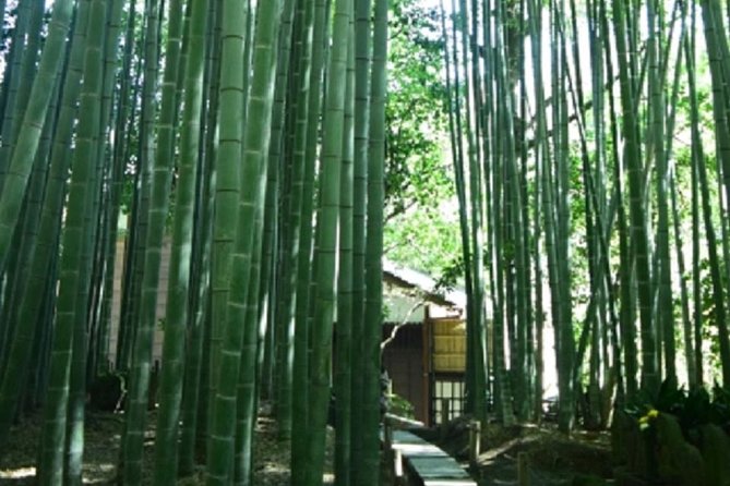 Kamakura Private Tour by Public Transportation - Tsurugaoka Hachimangu Shrine: major Shinto energy in the city center