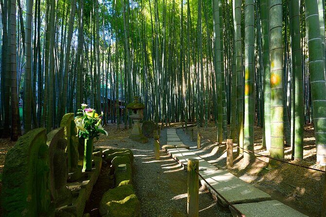 Kamakura Private Tour Great Buddha & Enoshima with English guide - Hase-dera and Tsurugaoka Hachimangu: spiritual landmarks with different flavors