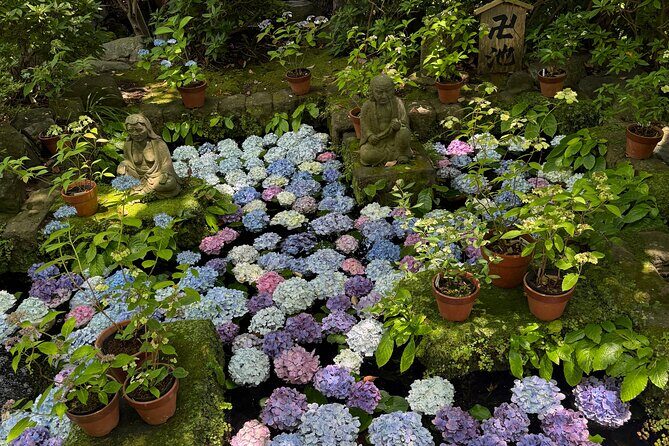 Kamakura Tours Half Day or Full Day Tours with a local guide. - Optional kimono rental near Imakoji: a photo upgrade, not a must