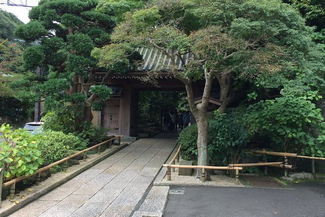 Kamakura Walking Tour with Local Guide Including Hokokuji Temple - Key things to know before you go