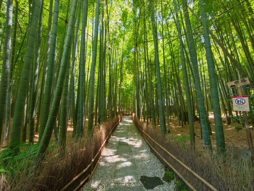 Kamakura Zen: Great Buddha, Nature, Bamboo & Samurai Culture - Kōtoku-in and the Great Buddha: A Monument With Real Weight