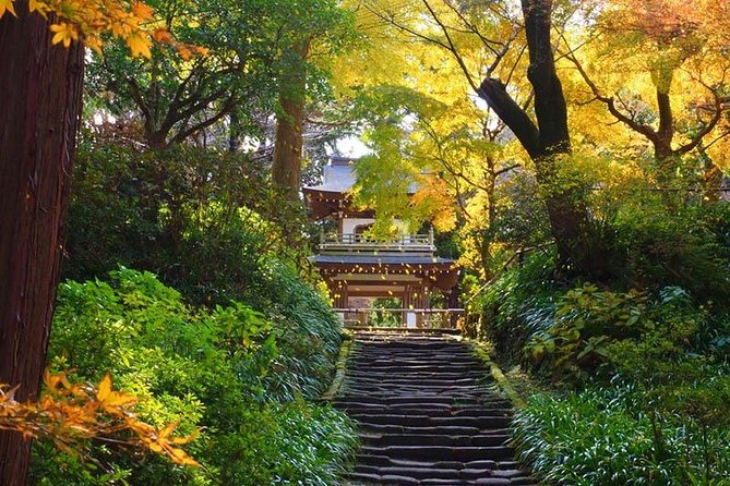 Kamakura Zen Temples and Gardens Private Trip with Government-Licensed Guide - Key things that make this Kamakura tour worth your time