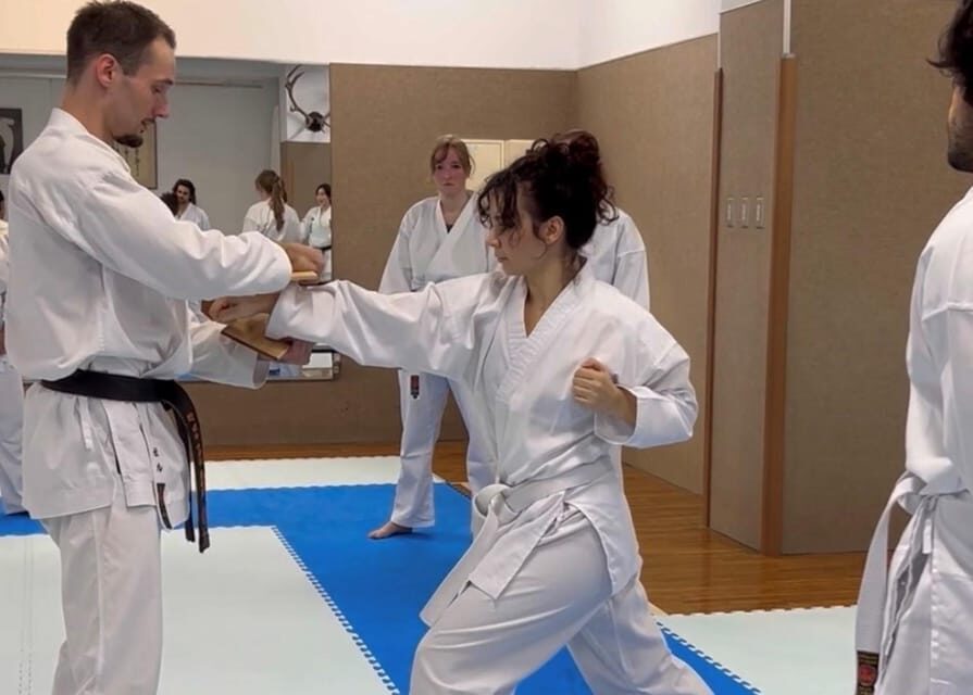 Karate Experience with the Shotokan Karate-do Instructor - Key takeaways before you go