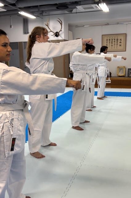 Karate Experience with the Shotokan Karate-do Instructor - Kata and promise kumite: why this combo helps you progress