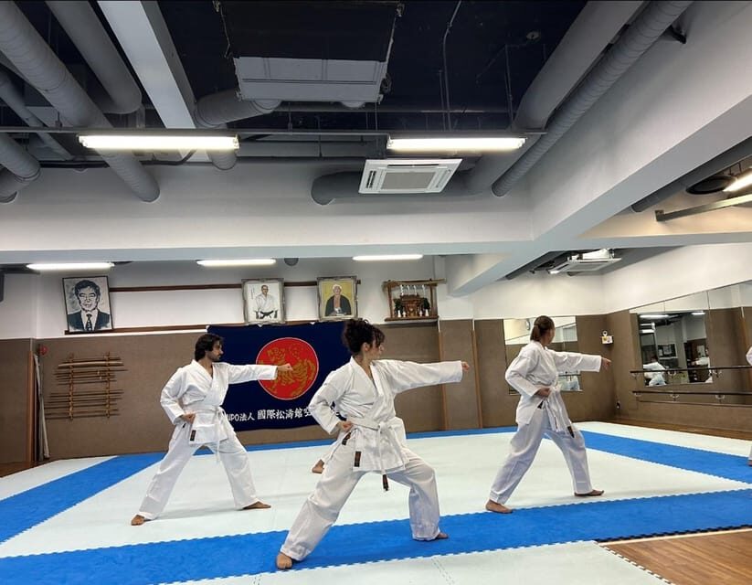 Karate Experience with the Shotokan Karate-do Instructor - Watching the instructor: learn by contrast