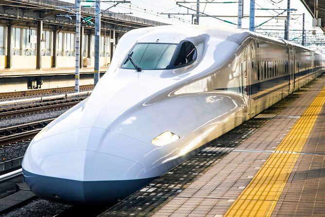 Kyoto Early Bird Tour Tokyo Round or One Way Shinkansen - Key Points That Matter Before You Go