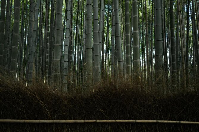 Kyoto Early Bird Tour Tokyo Round or One Way Shinkansen - Timing, Transfers, and the Real Pace of a 1-Day Kyoto Plan