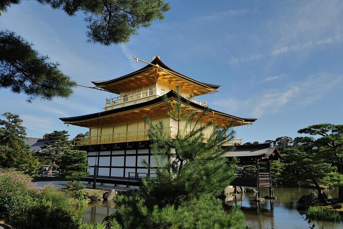 Kyoto Early Bird Tour Tokyo Round or One Way Shinkansen - The Guides: Why This Tour Feels Like It Has a Brain