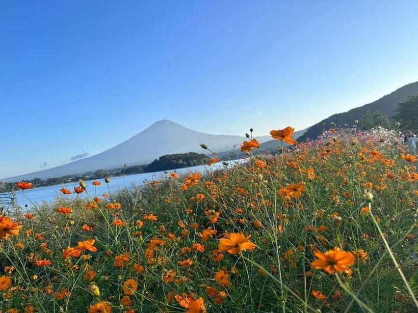 Lake Kawaguchi : Half day Private Tour with local guide - Weather and timing: how to think about a Fuji chase