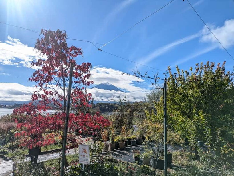 Lake Kawaguchi : Half day Private Tour with local guide - Value and price: what you’re really paying for
