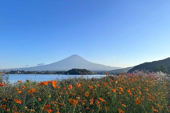 Lake Kawaguchi : Private Half Day Customized Tour w/ local guide - Oshino Hakkai: the pond village that photographers keep returning to