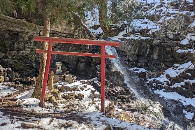 Lake Kawaguchi Private Hiking Tour with local guide - What You’ll See: Shrine, Waterfall, Old Forest, and Caves (Route Is Adjustable)