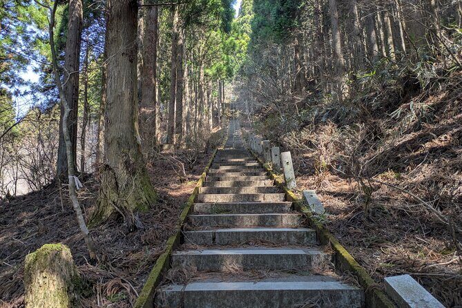 Lake Kawaguchi Private Hiking Tour with local guide - Gear, Water, and Snacks: What’s Included and Why It Matters