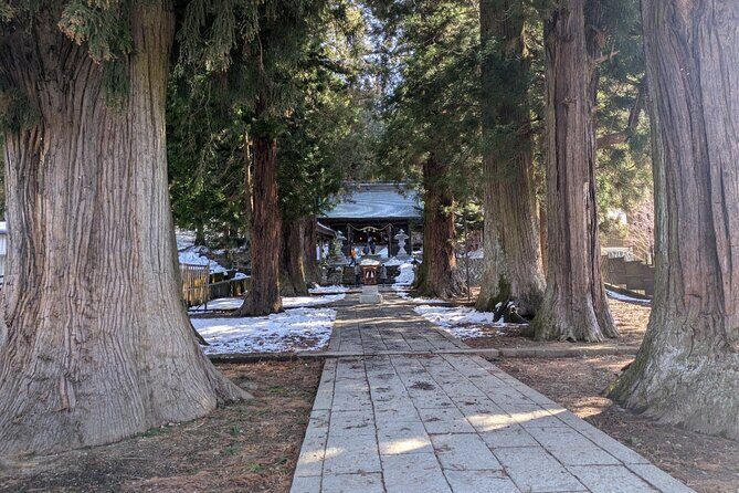 Lake Kawaguchi Private Hiking Tour with local guide - Price and Value: What You’re Really Paying For