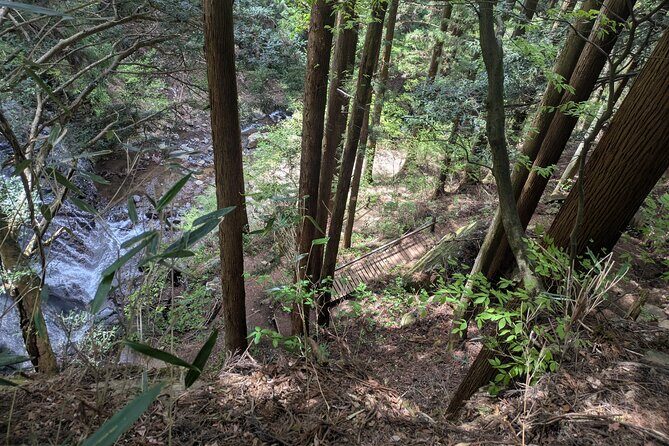Lake Kawaguchi Private Hiking Tour with local guide - Who This Tour Fits Best (And Who Might Want a Different Style)