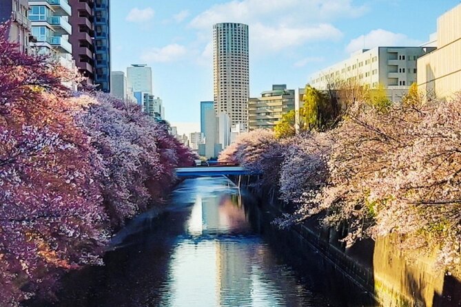 Licensed Guide Tokyo Meguro Cherry Blossom Walking Tour - Quick hits before you go
