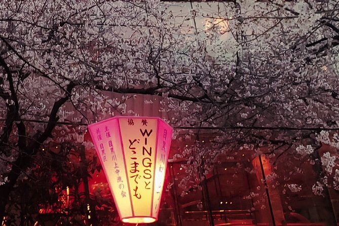 Licensed Guide Tokyo Meguro Cherry Blossom Walking Tour - Best for families, first-timers, and photo-focused days