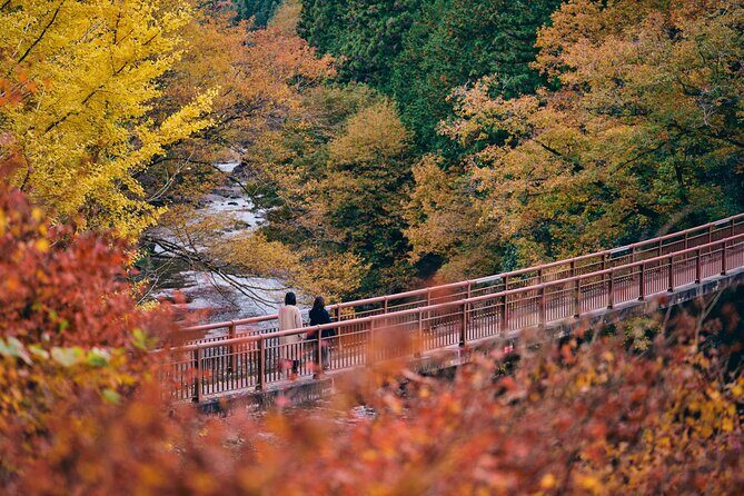 Little Adventure with Cycling in Tokyo No. 1 Crystal Clear River - Weather and gear: the day can shift, and that’s normal