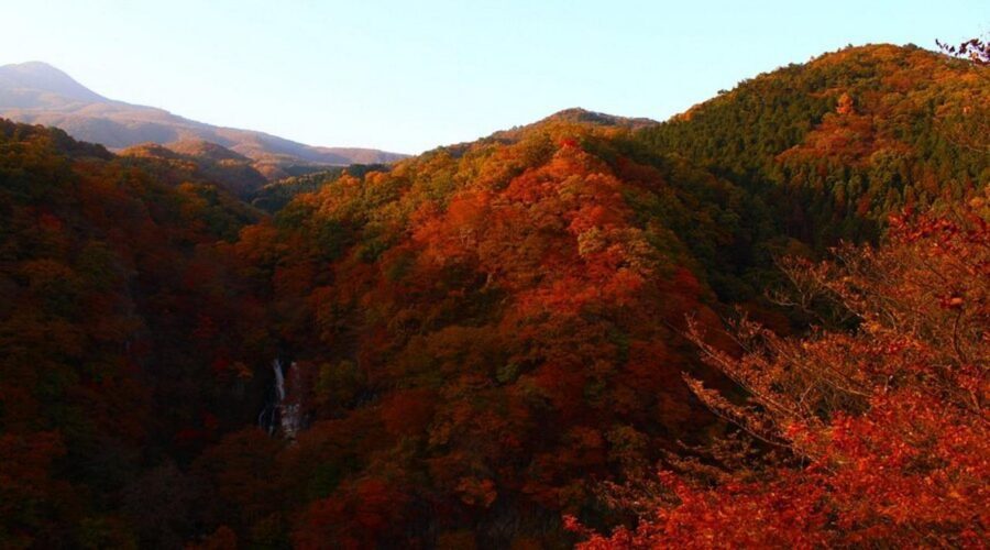 Luxury Nikko Gateway;Private Guided tour - The last short guided block in the area