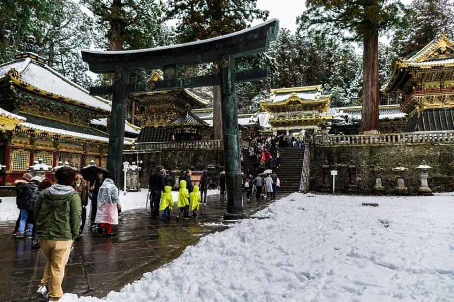 Luxury Nikko Gateway;Private Guided tour - Door-to-door Nikko day trips from Tokyo, Hakone, or Nikko