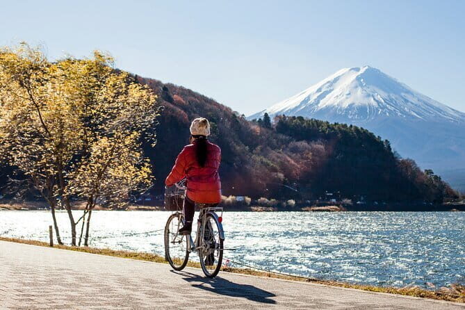 Majestic Mount Fuji: Exclusive Private Day Tour - Why This Private Fuji Day Feels Easier Than DIY Tokyo Routes
