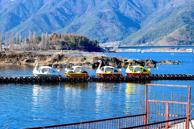 Majestic Mount Fuji: Exclusive Private Day Tour - Hikawa Clock Shop and the “Ladder Town” Street Feel
