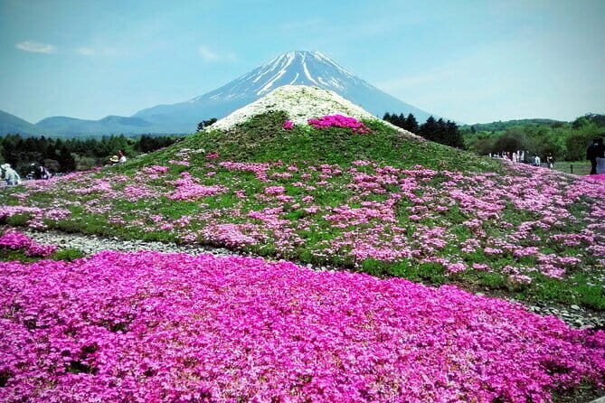 Majestic Mount Fuji: Exclusive Private Day Tour - Arakurayama Sengen Park: The Start of the Classic Mount Fuji Photo Circuit