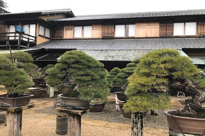 Make Your Own Bonsai with a Professional Bonsai Artist in Tokyo - Your 2-hour bonsai lesson: what you’ll do step by step