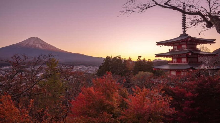 Mount Fuji 1-Day Trip: the Hottest Photography Tour - Tokyo to Mount Fuji, without turning your day into logistics