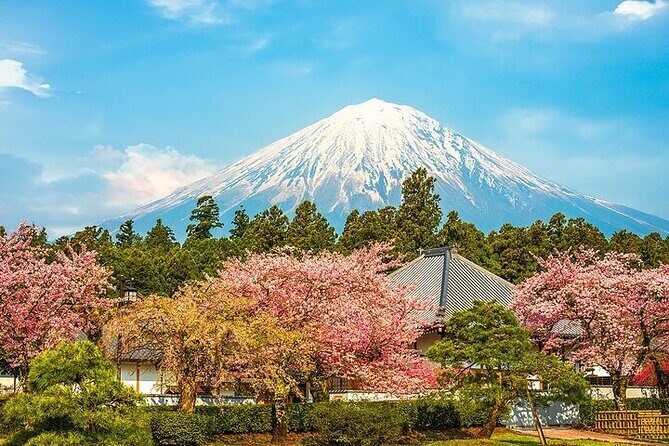Mount Fuji 5th Station, Arakurayama, Oshino Hakkai and Hot Spring - Mount Fuji in One Shot: What This Day Tour Actually Delivers