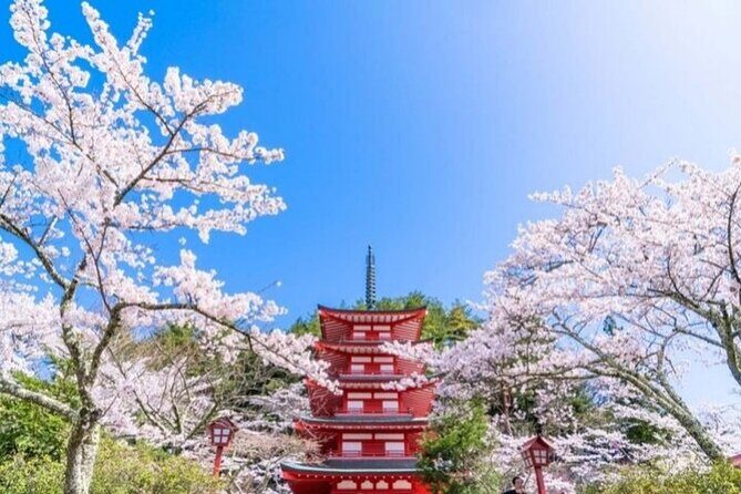Mount Fuji 5th Station, Arakurayama, Oshino Hakkai and Hot Spring - Mount Fuji 5th Station vs Arakurayama Sengen Park: The Season Switch You Must Match
